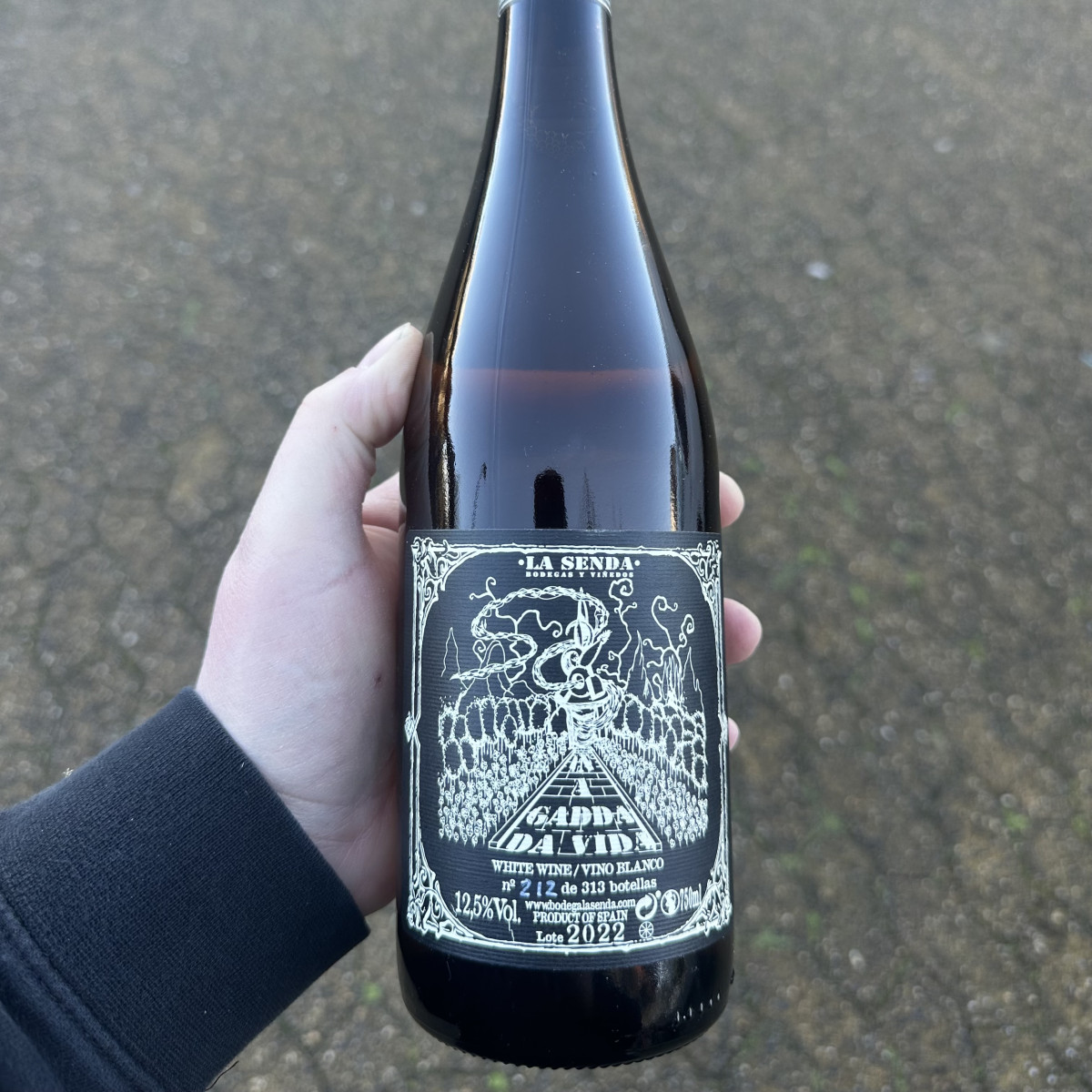 In a gadda da vida - bodega la senda 2022