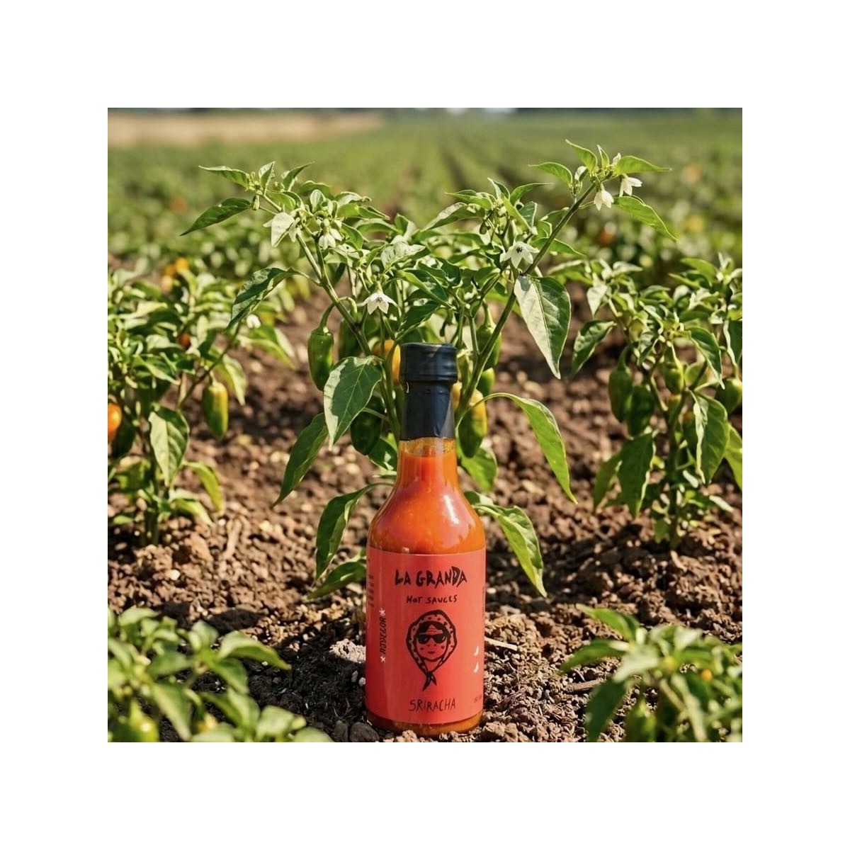 Sriracha La granda