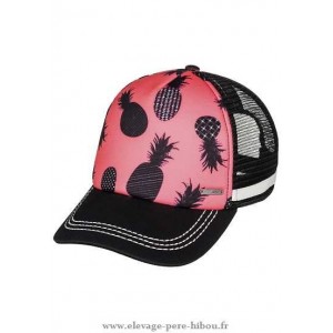 Casquettes